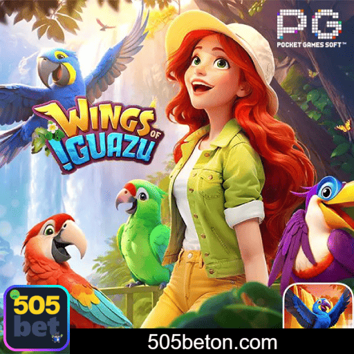 Imagem promocional do cadastro da 505BET